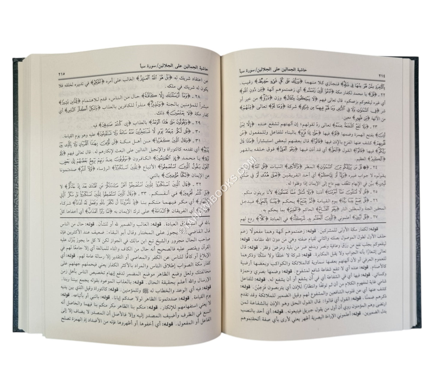 تفسير الجلالين ومعه الجمالين على الجلالين-العلمية
