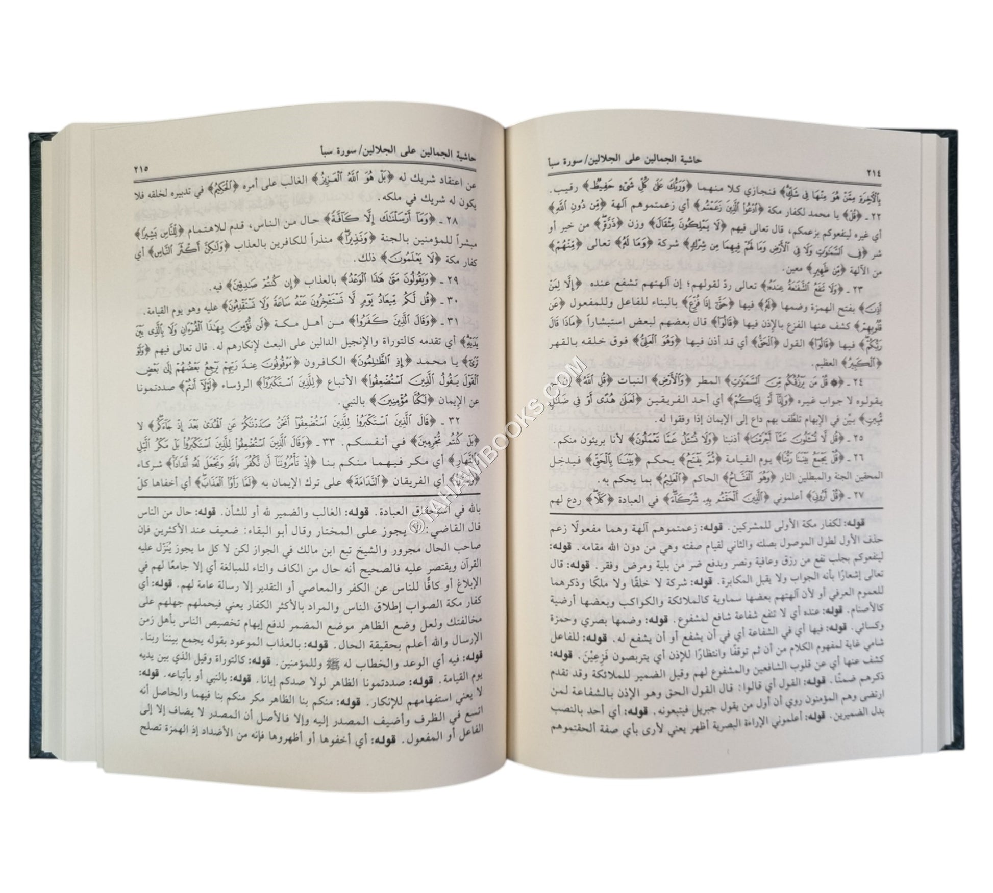 تفسير الجلالين ومعه الجمالين على الجلالين-العلمية
