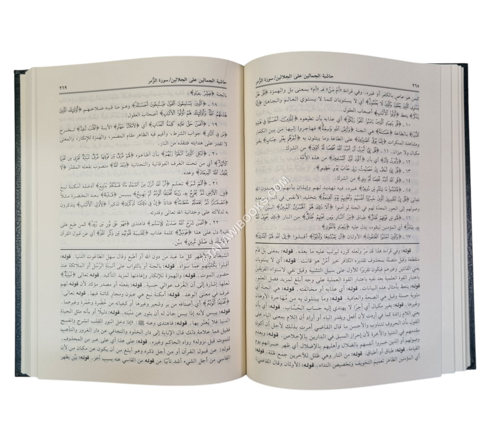 تفسير الجلالين ومعه الجمالين على الجلالين-العلمية