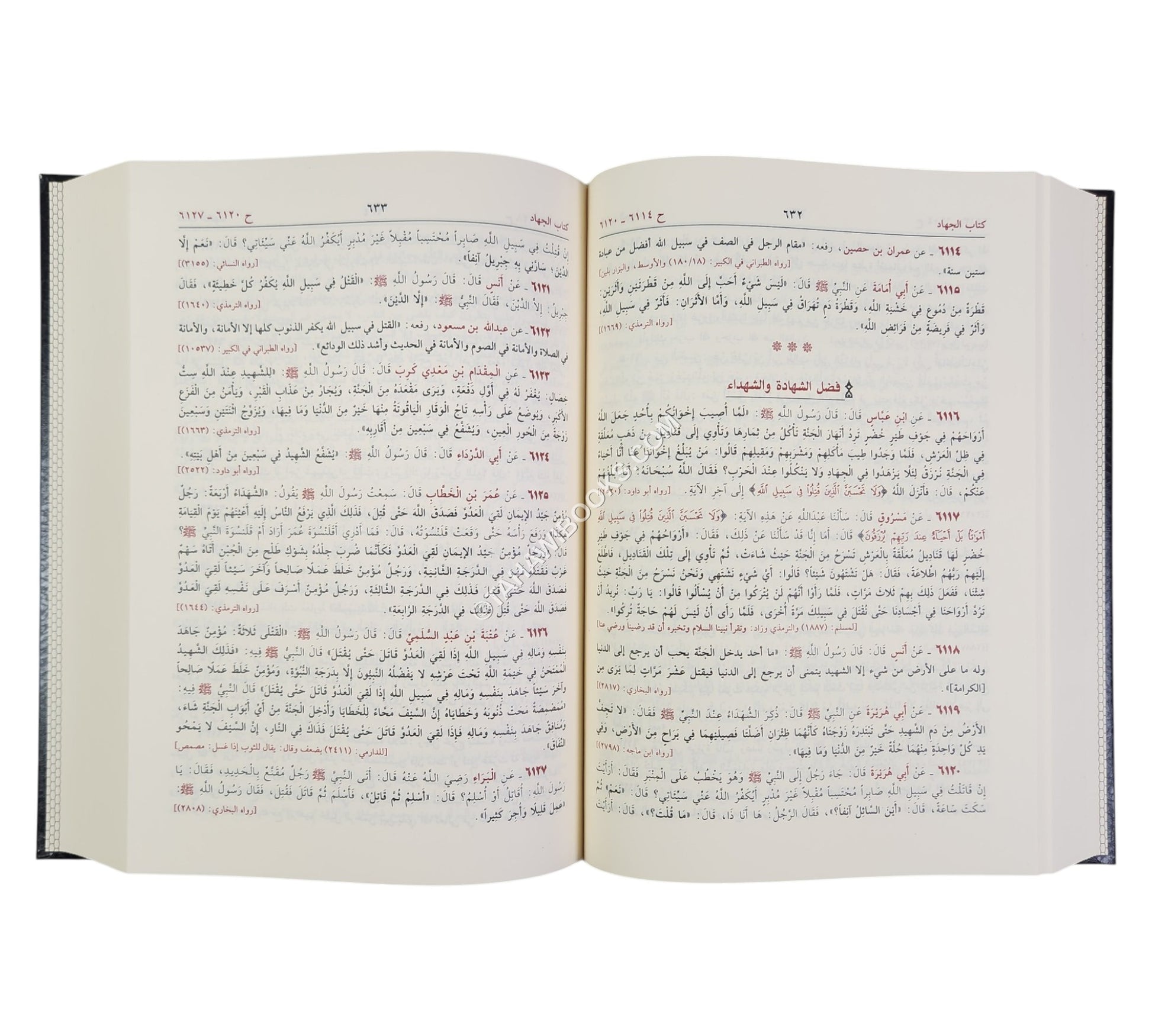 جمع الفوائد من جامع الأصول ومجمع الزوائد