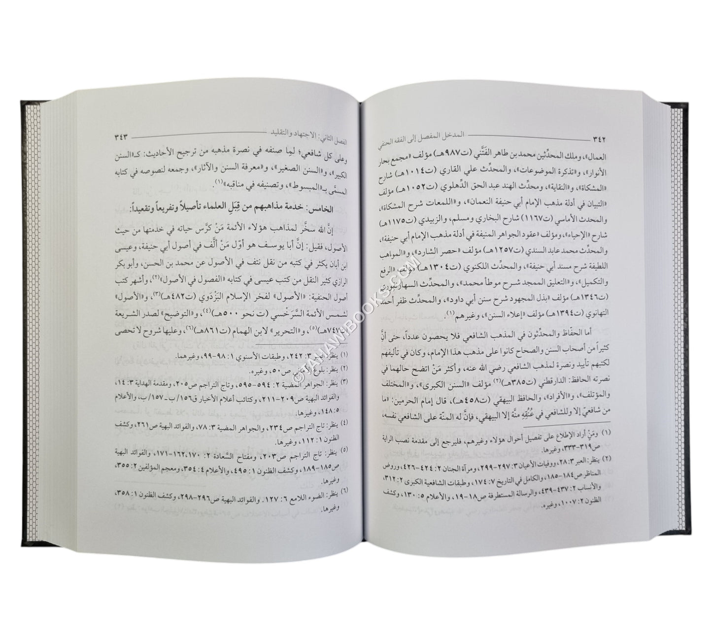 المدخل المفصل إلى الفقه الحنفي ط3