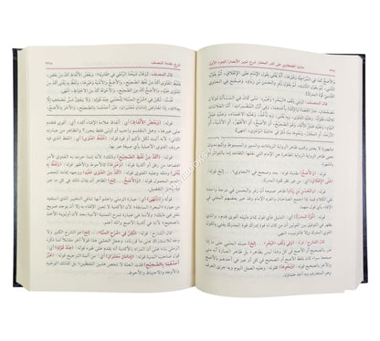 حاشية الطحطاوي على الدر المختار-العلمية