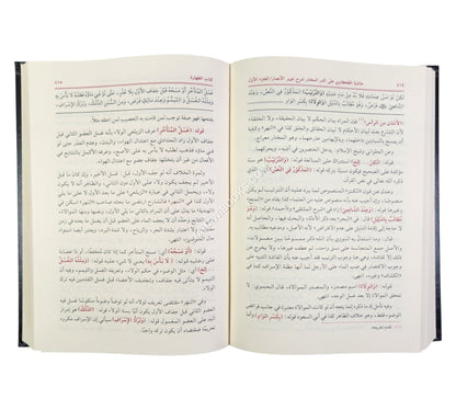 حاشية الطحطاوي على الدر المختار-العلمية