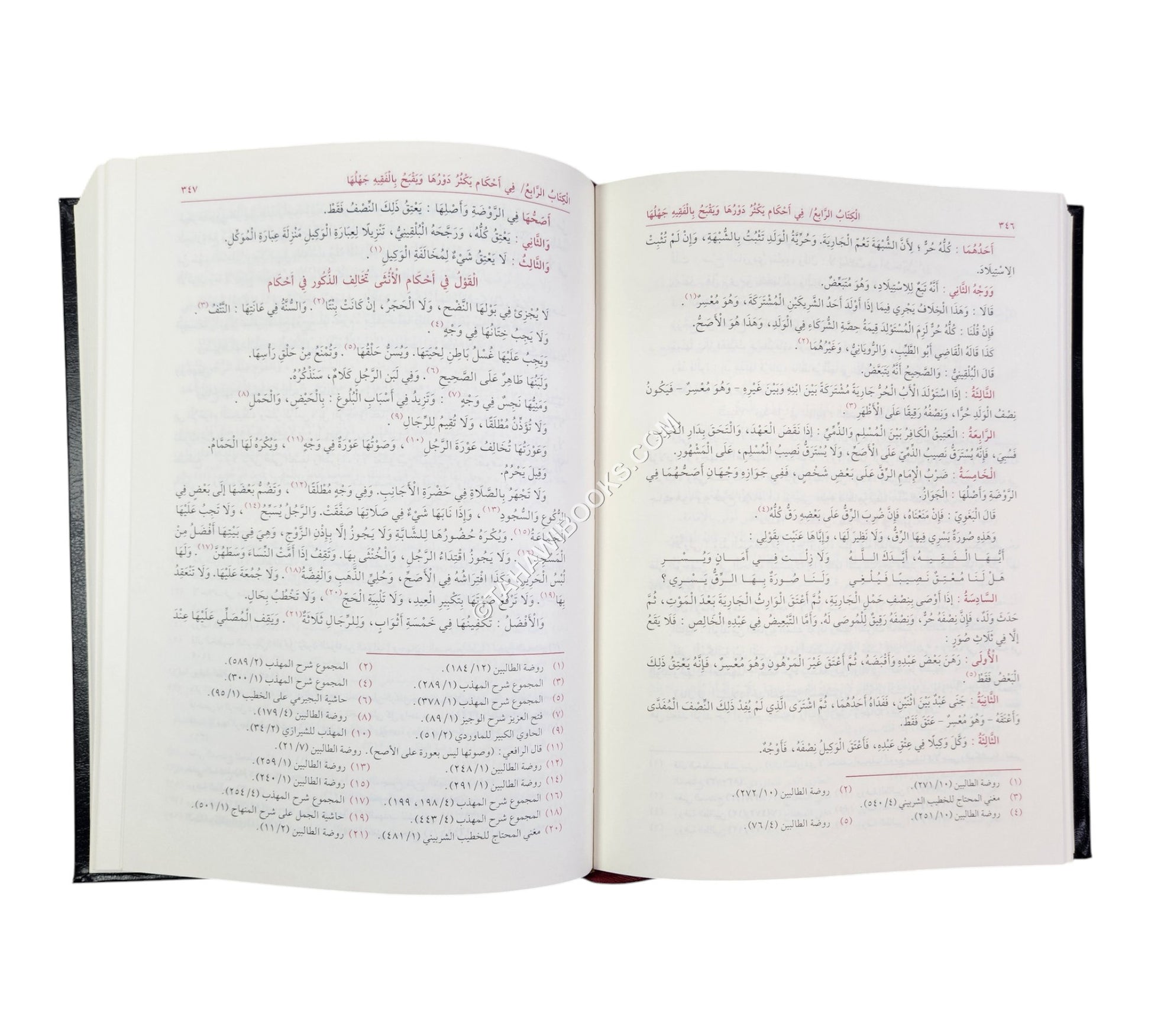 الأشباه والنظائر-السيوطي-العلمية