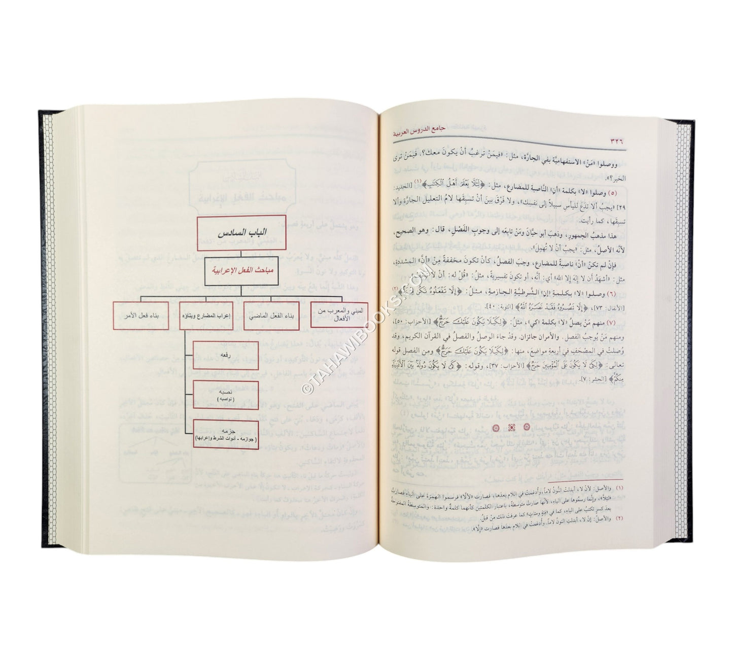 جامع الدروس العربية-الرسالة ناشرون