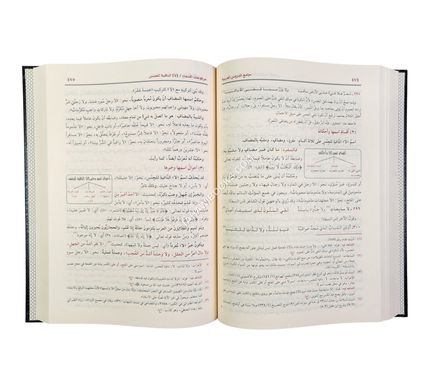 جامع الدروس العربية-الرسالة ناشرون