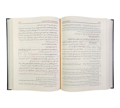 جامع الدروس العربية-الرسالة ناشرون