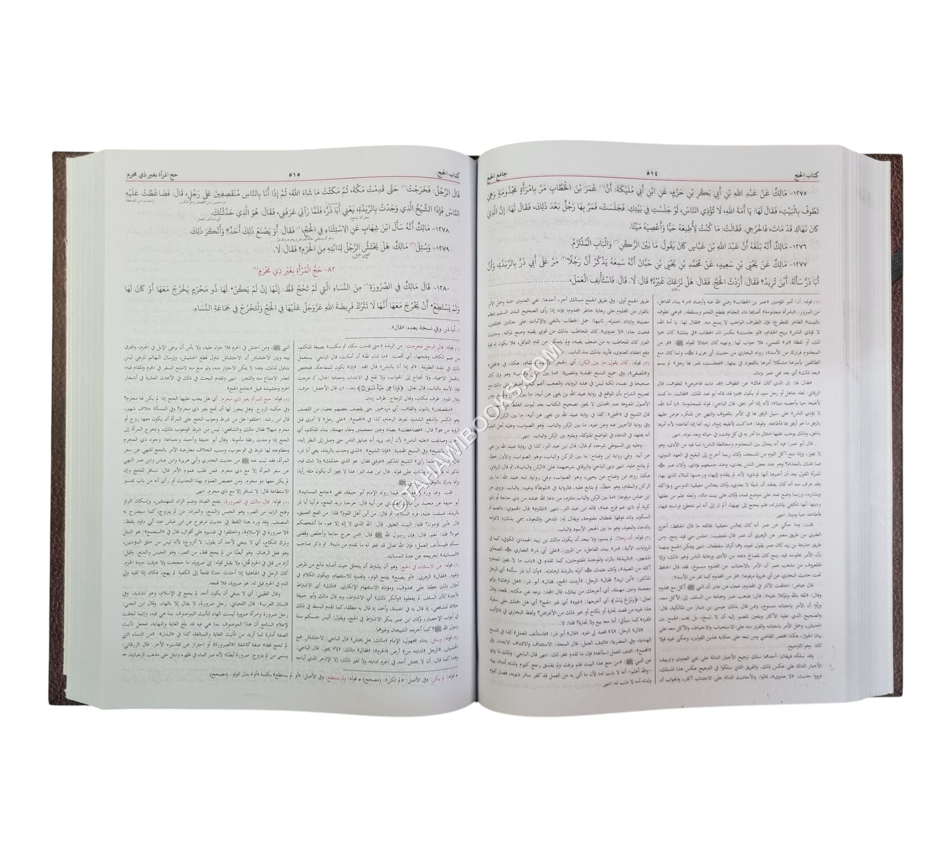 الموطأ للإمام مالك -البشرى-كبير