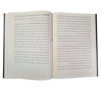 فتاوى ابن الشلبي