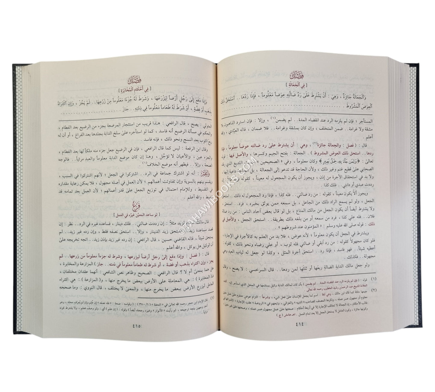 كفاية الأخيار في حل غاية الاختصار-المنهاج