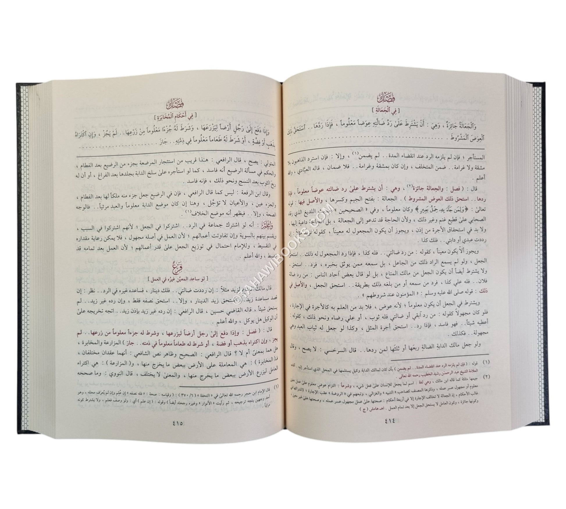 كفاية الأخيار في حل غاية الاختصار-المنهاج