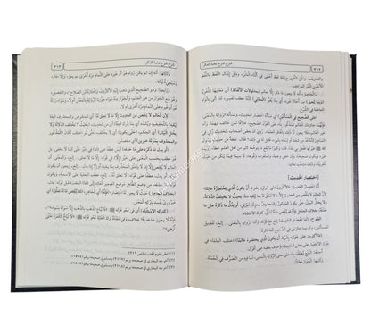 شرح شرح نخبة الفكر -العلمية