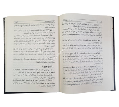شرح شرح نخبة الفكر -العلمية