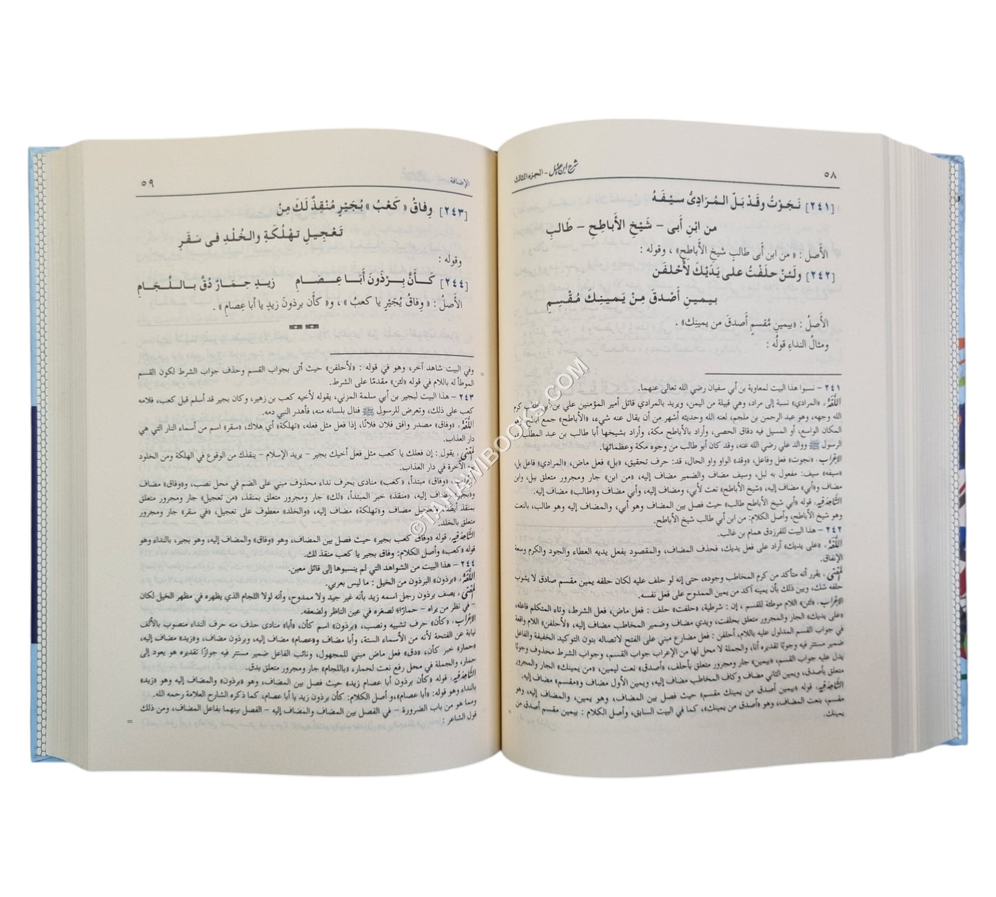 شرح ابن عقيل على ألفية ابن مالك-ابن كثير