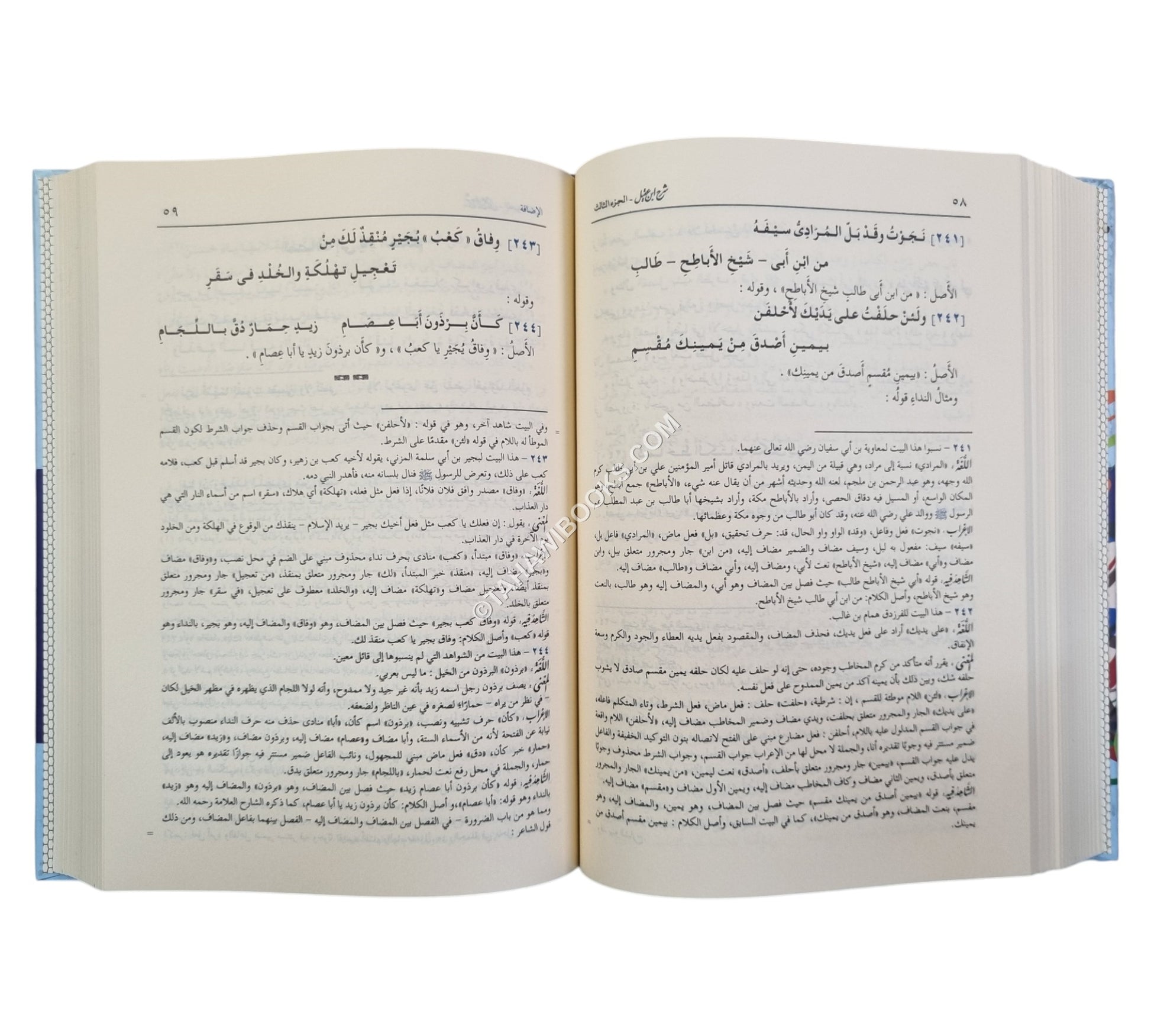 شرح ابن عقيل على ألفية ابن مالك-ابن كثير