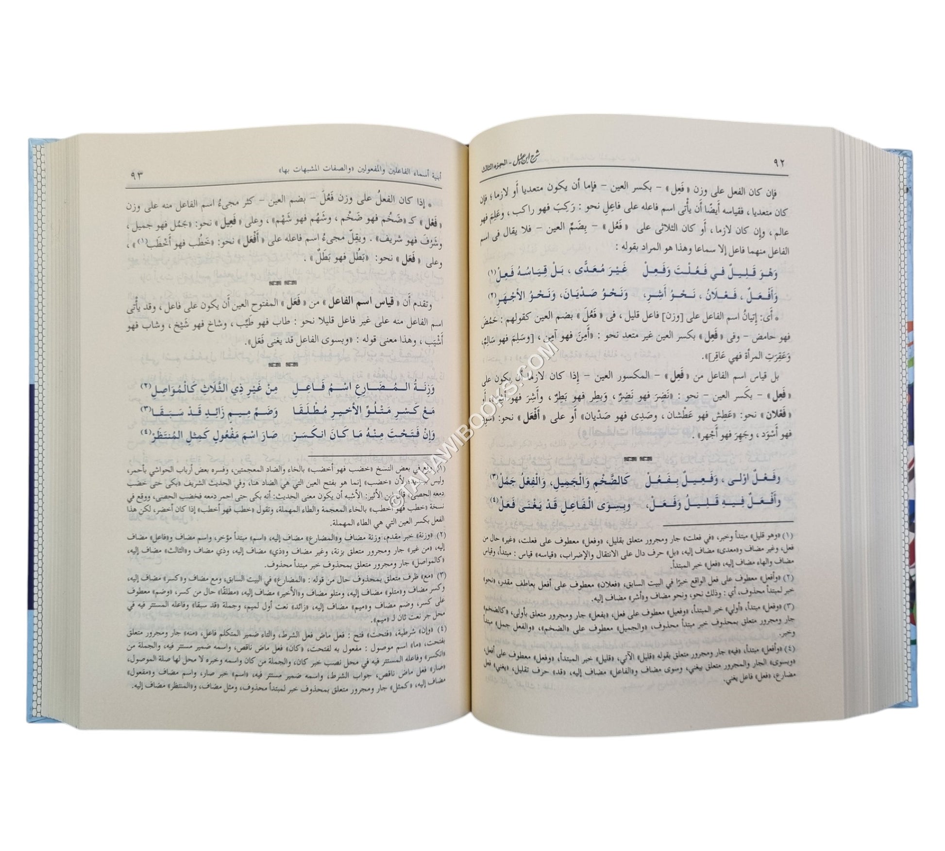 شرح ابن عقيل على ألفية ابن مالك-ابن كثير