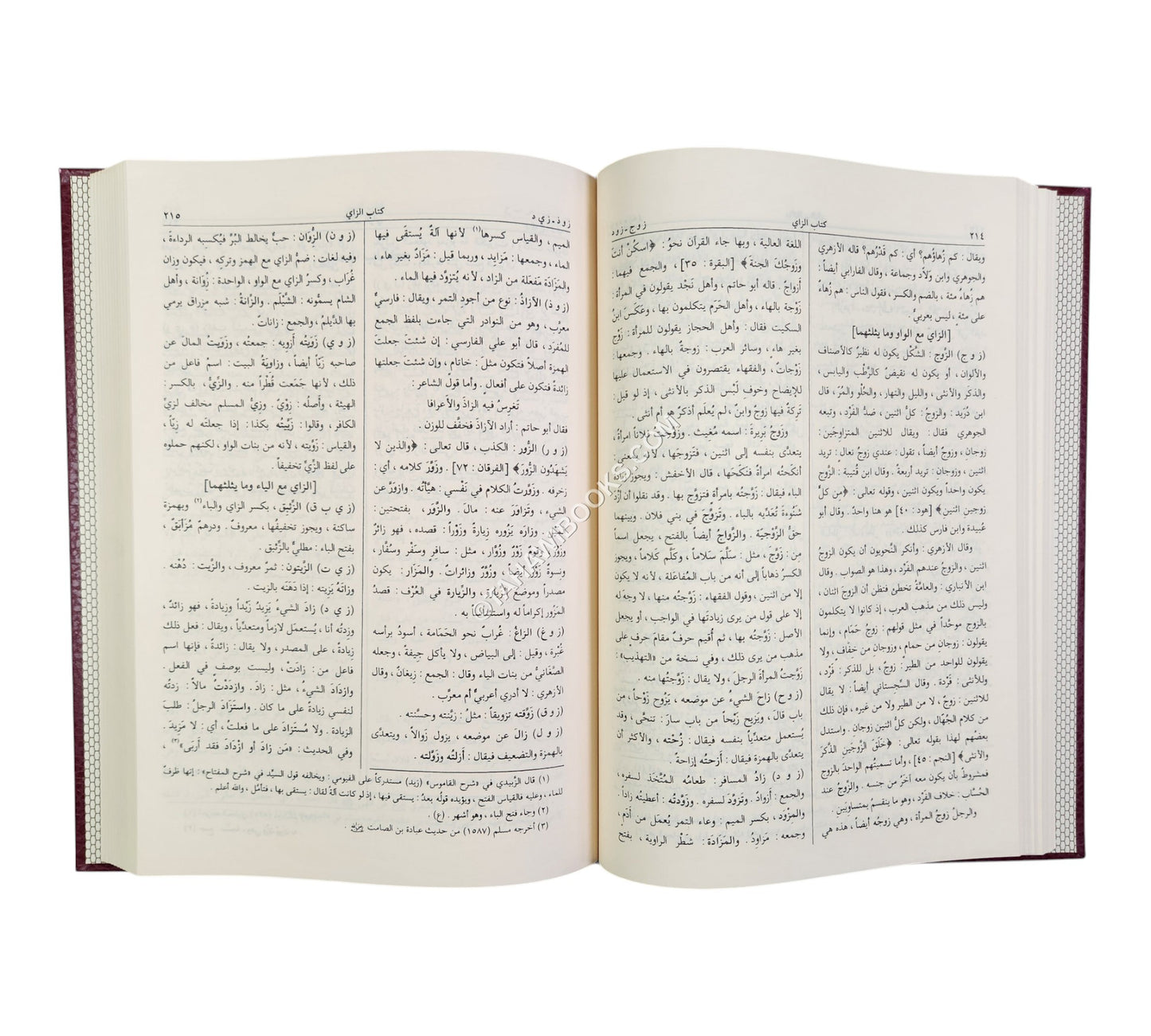 المصباح المنير في غريب الشرح الكبير-الرسالة