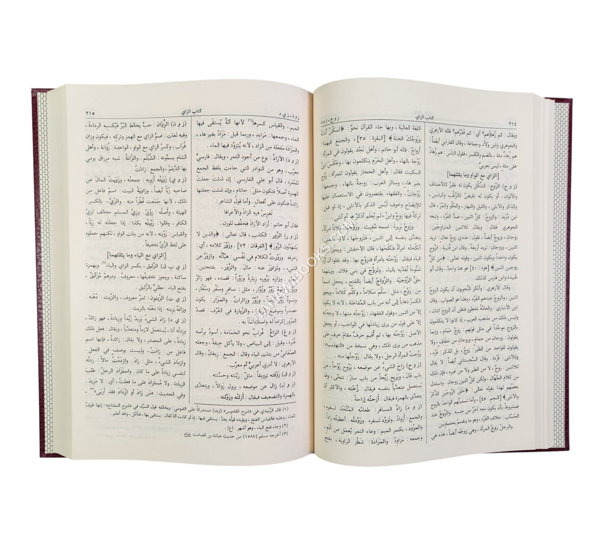 المصباح المنير في غريب الشرح الكبير-الرسالة