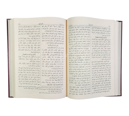 المصباح المنير في غريب الشرح الكبير-الرسالة