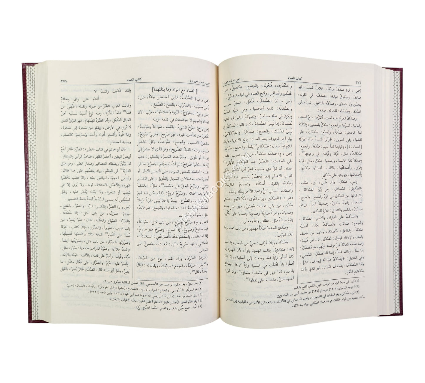 المصباح المنير في غريب الشرح الكبير-الرسالة