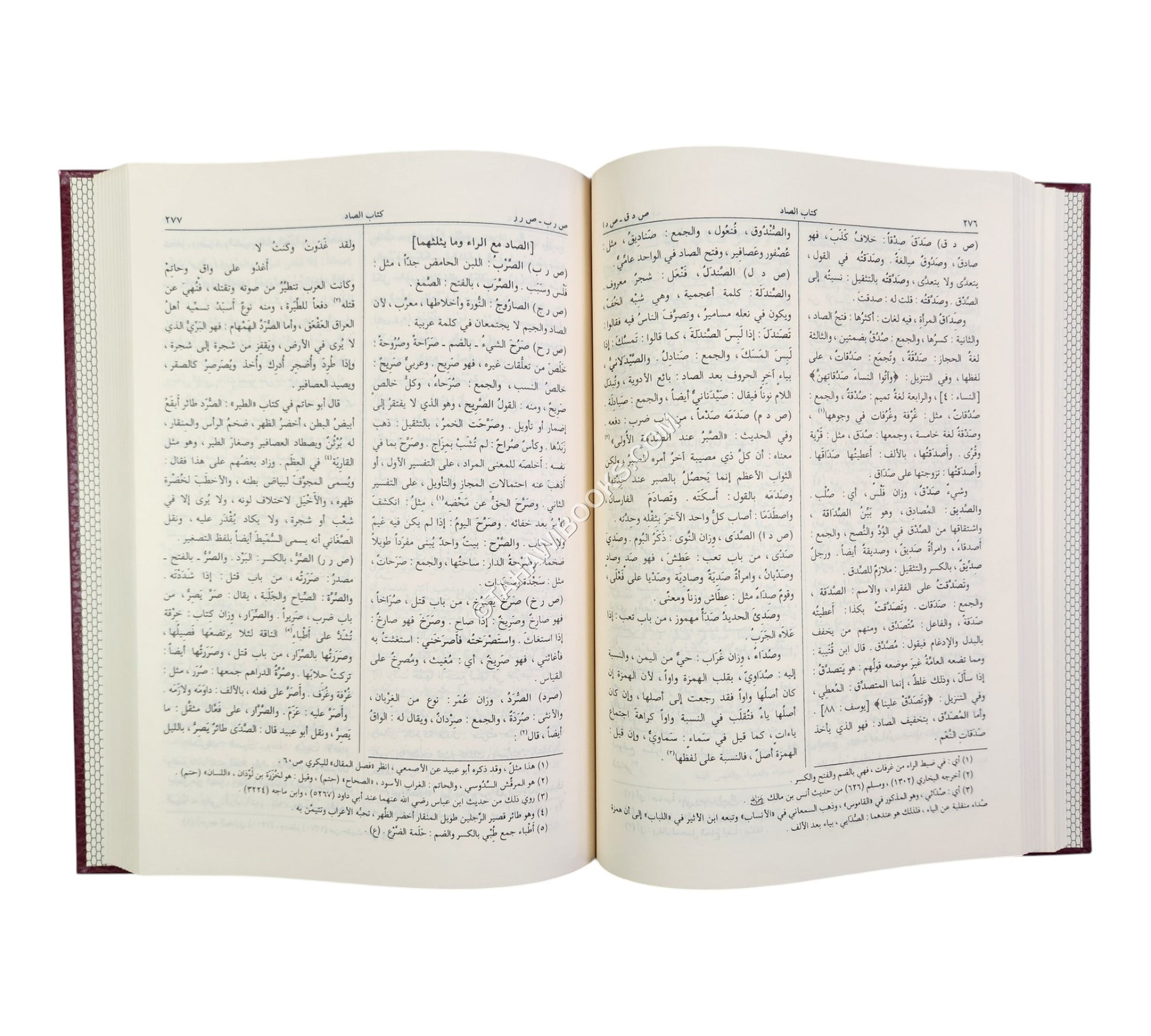المصباح المنير في غريب الشرح الكبير-الرسالة