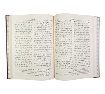 المصباح المنير في غريب الشرح الكبير-الرسالة