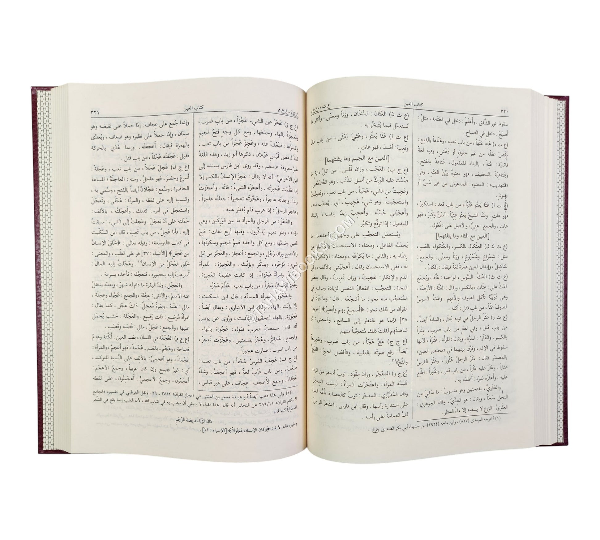 المصباح المنير في غريب الشرح الكبير-الرسالة