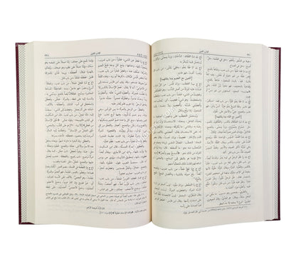 المصباح المنير في غريب الشرح الكبير-الرسالة