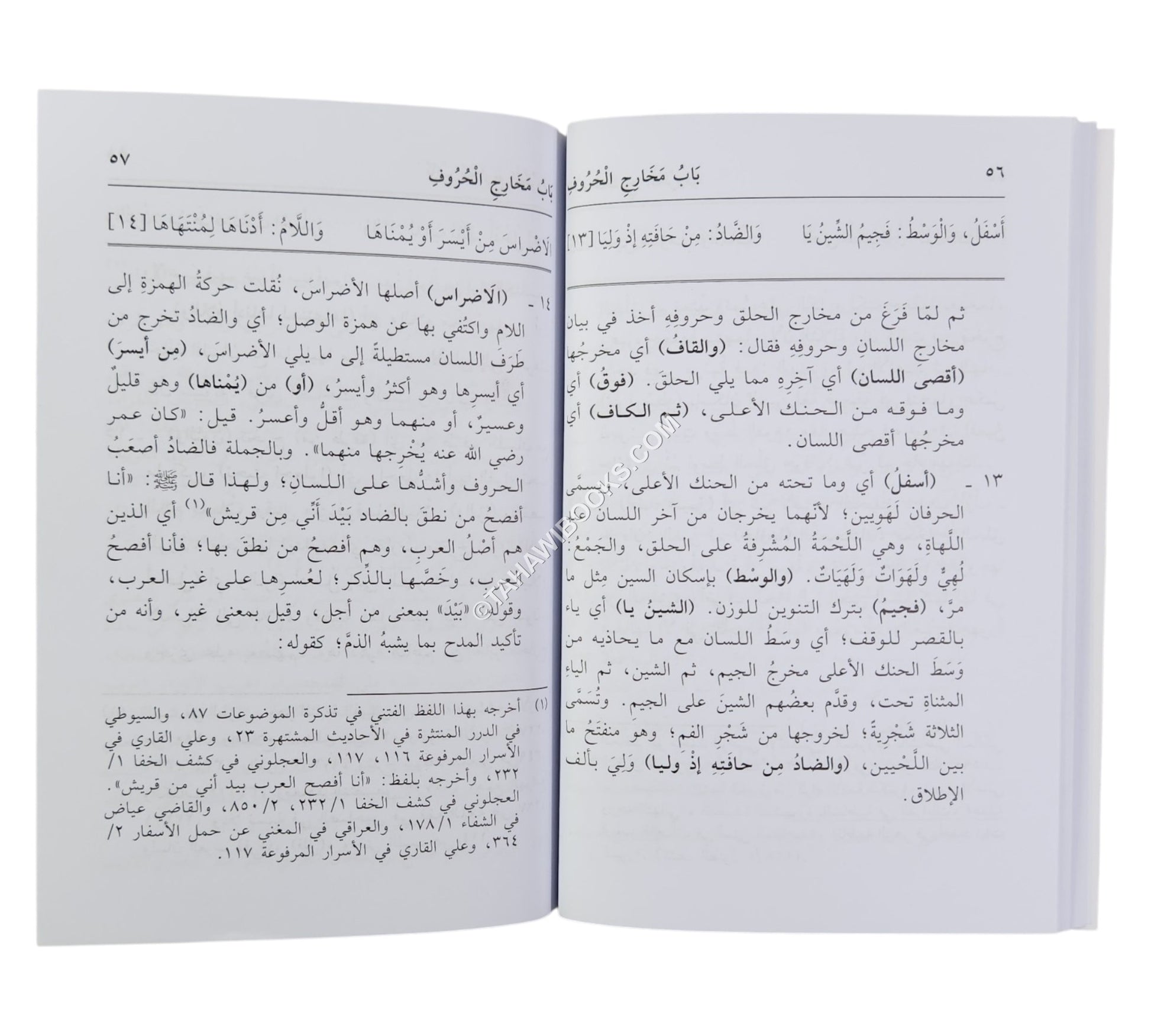 الدقائق المحكمة في شرح المقدمة الجزرية-العلمية-وسط