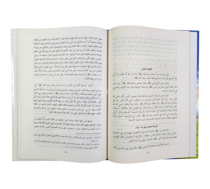 تاريخ المدينة لقطب الدين النهرواني