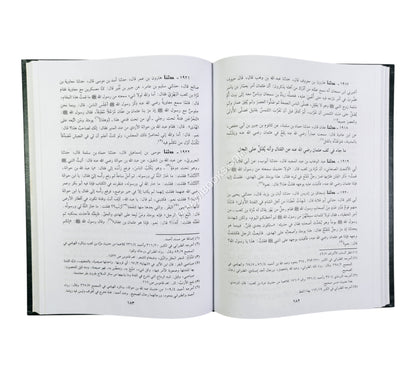 تاريخ المدينة المنورة (أخبار المدينة النبوية)
