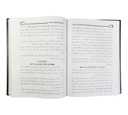 السيرة النبوية لابن إسحاق