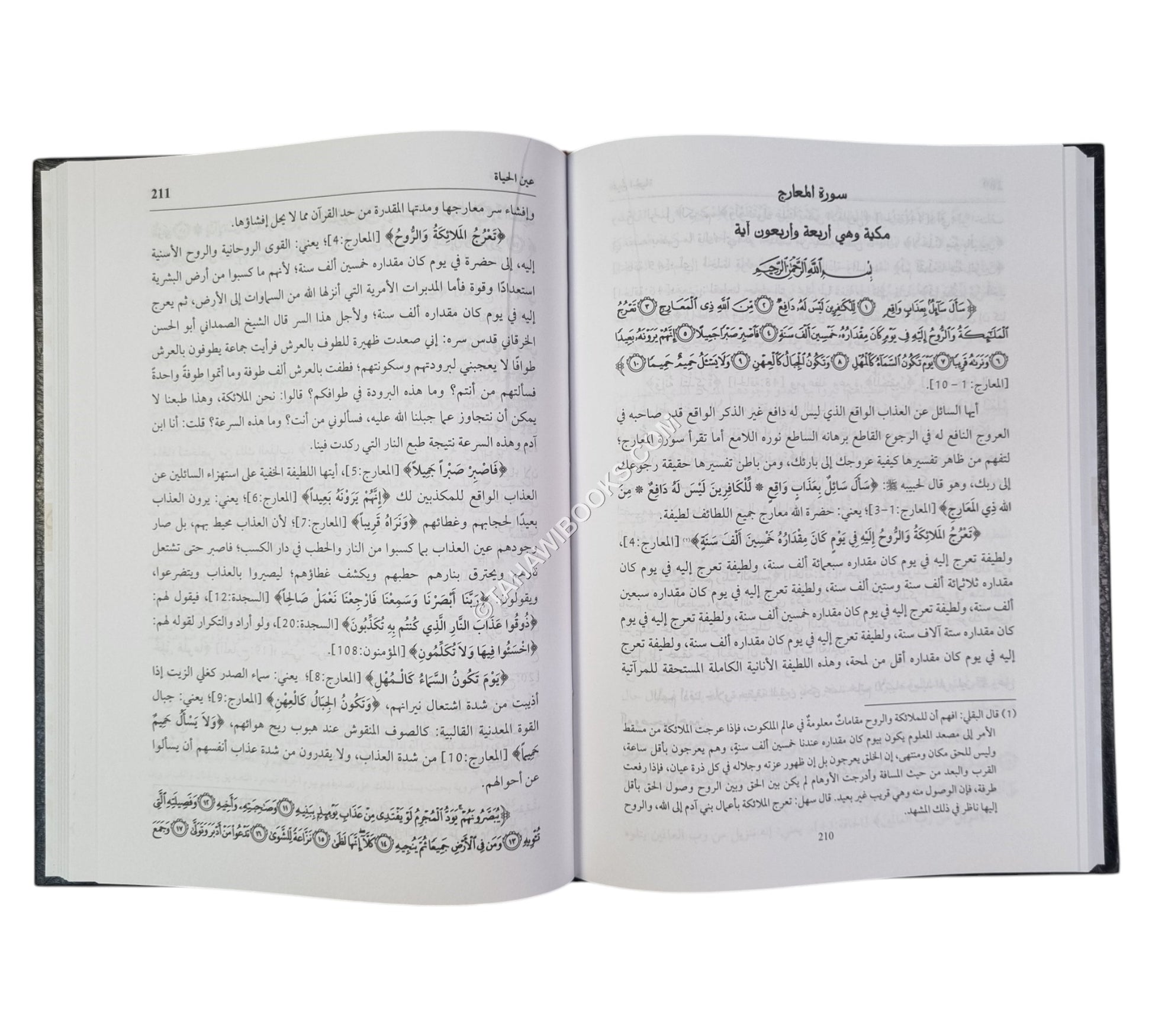 التأويلات النجمية في التفسير الإشاري الصوفي ويليه (تتمته عين الحياة)