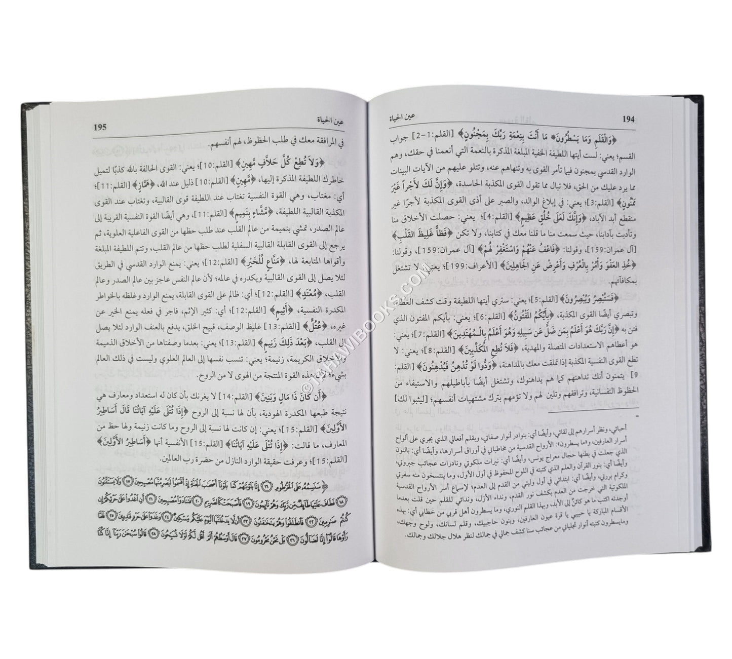 التأويلات النجمية في التفسير الإشاري الصوفي ويليه (تتمته عين الحياة)