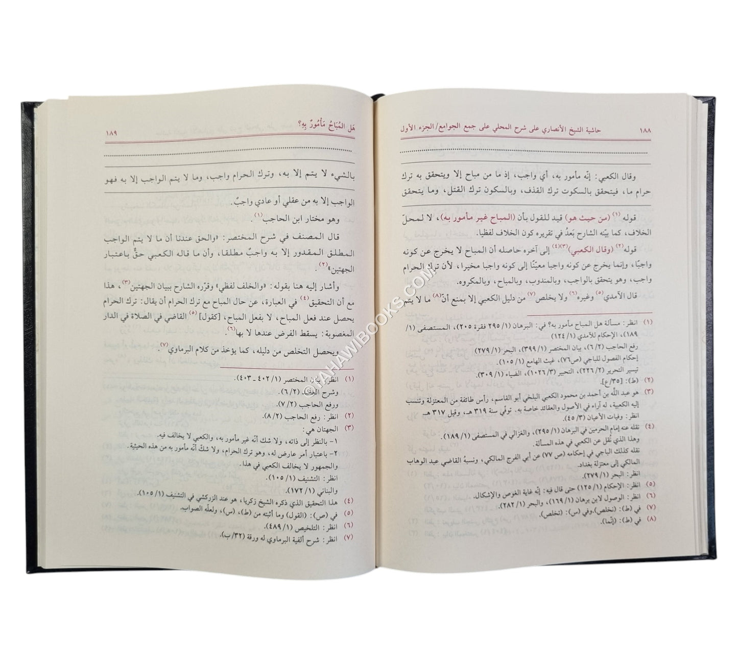 حاشية الأنصاري على شرح المحلي على جمع الجوامع