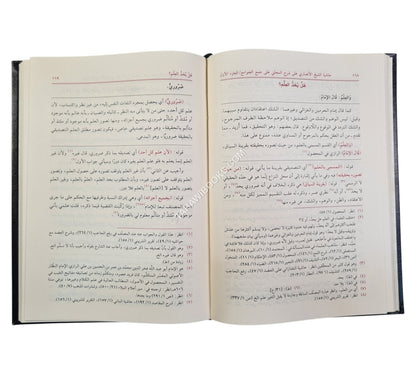 حاشية الأنصاري على شرح المحلي على جمع الجوامع