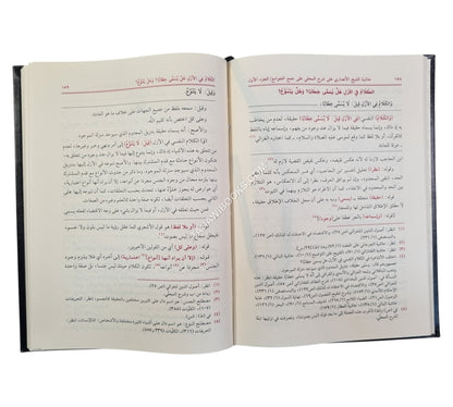 حاشية الأنصاري على شرح المحلي على جمع الجوامع