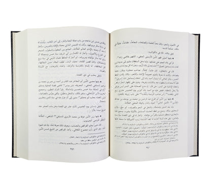 شذرات الذهب في أخبار من ذهب