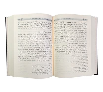 الدولة الأموية عوامل الازدهار وتداعيات الانهيار