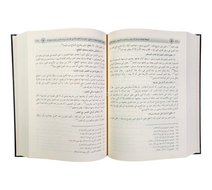 الدولة الأموية عوامل الازدهار وتداعيات الانهيار