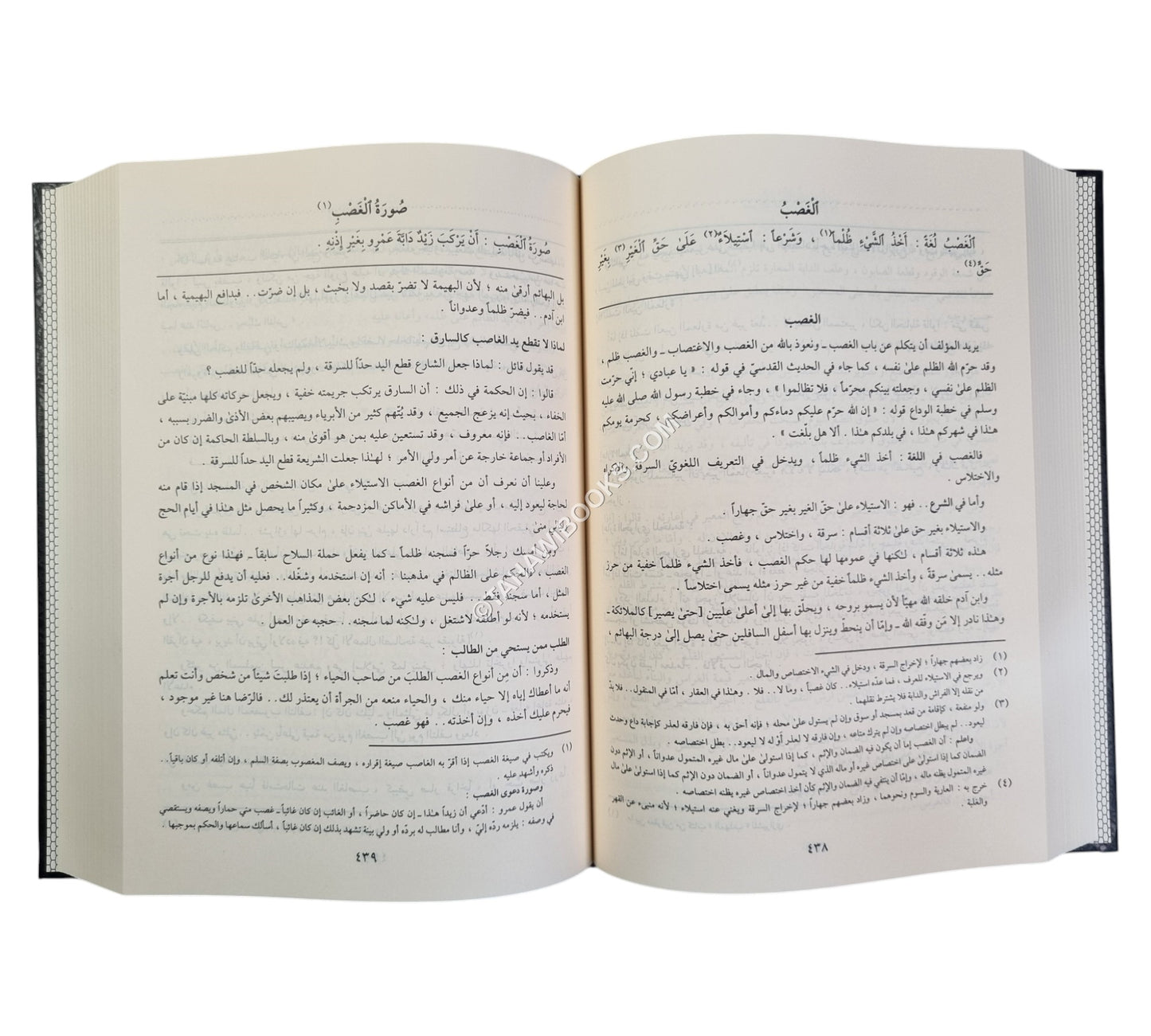 شرح الياقوت النفيس في مذهب ابن إدريس-المنهاج