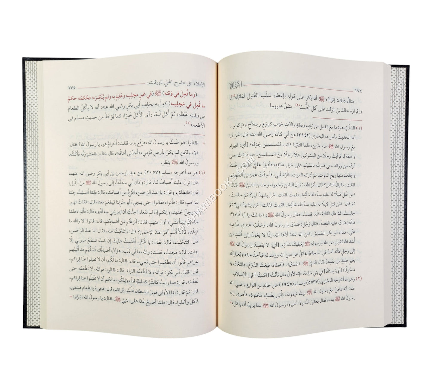 الإملاء على شرح المحلي للورقات في أصول الفقه ط6