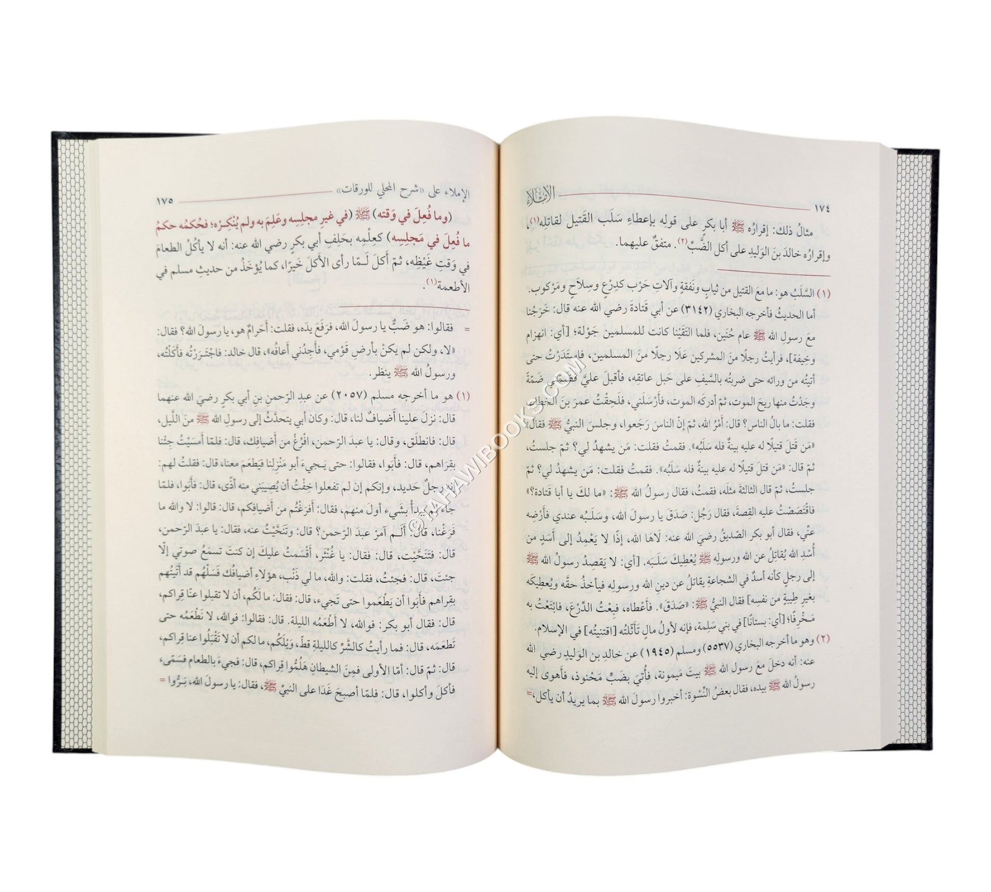 الإملاء على شرح المحلي للورقات في أصول الفقه ط6