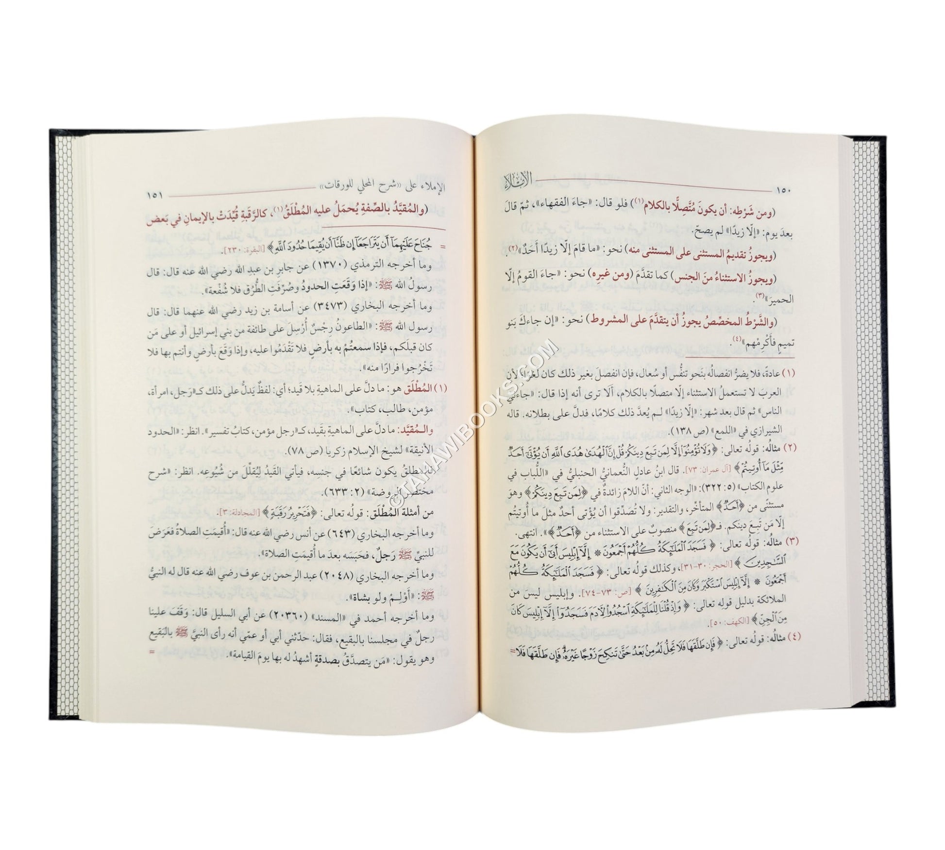 الإملاء على شرح المحلي للورقات في أصول الفقه ط6