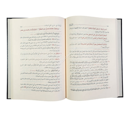الإملاء على شرح المحلي للورقات في أصول الفقه ط6