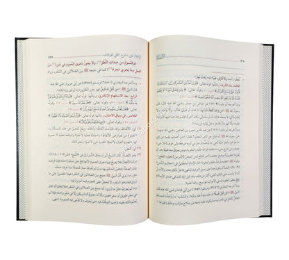 الإملاء على شرح المحلي للورقات في أصول الفقه ط6