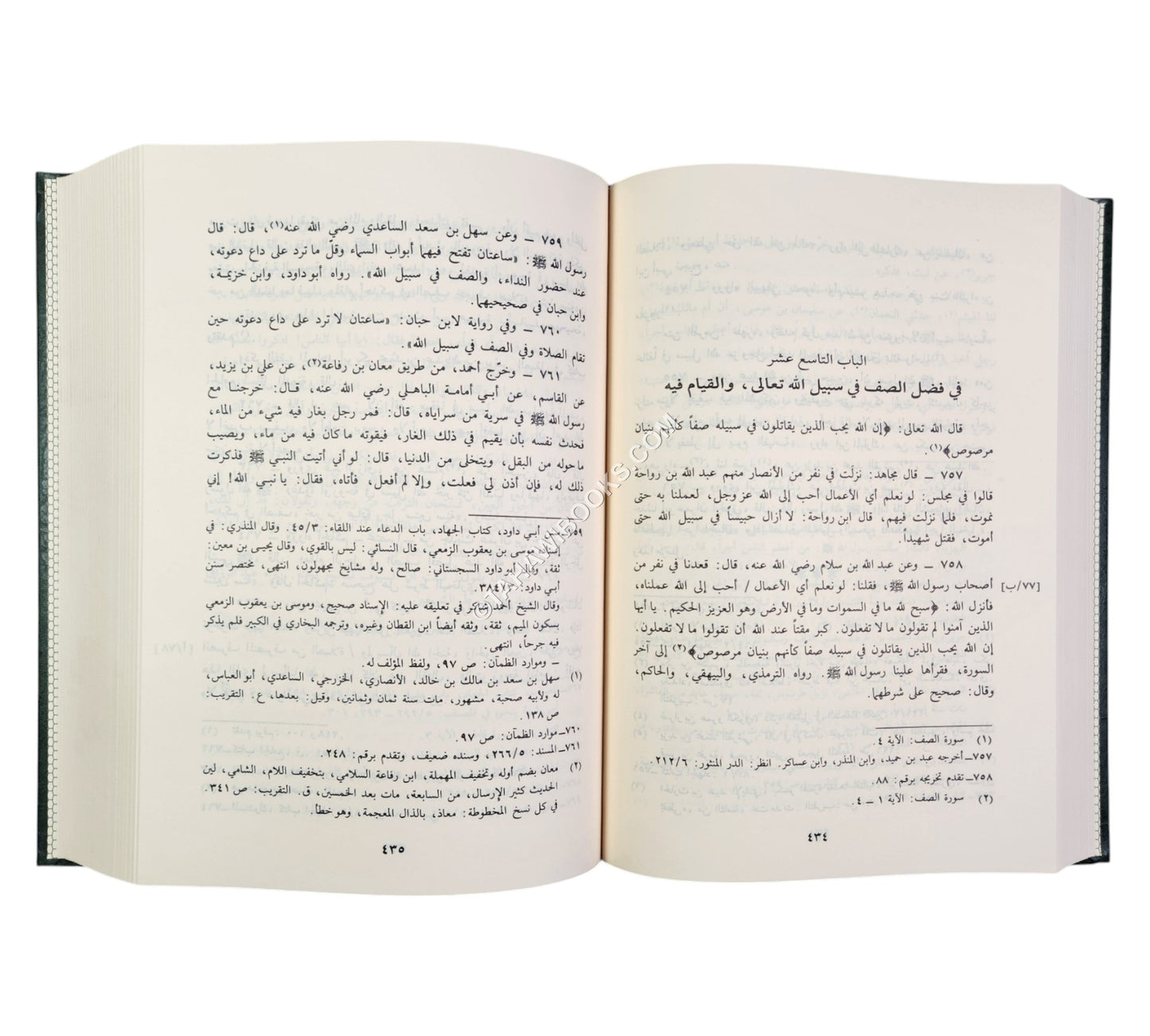 مشارع الأشواق إلى مصارع العشاق ومثير الغرام إلى دار السلام