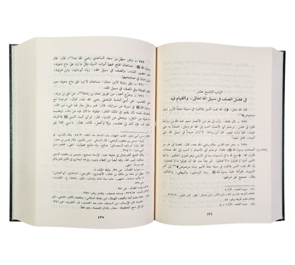 مشارع الأشواق إلى مصارع العشاق ومثير الغرام إلى دار السلام