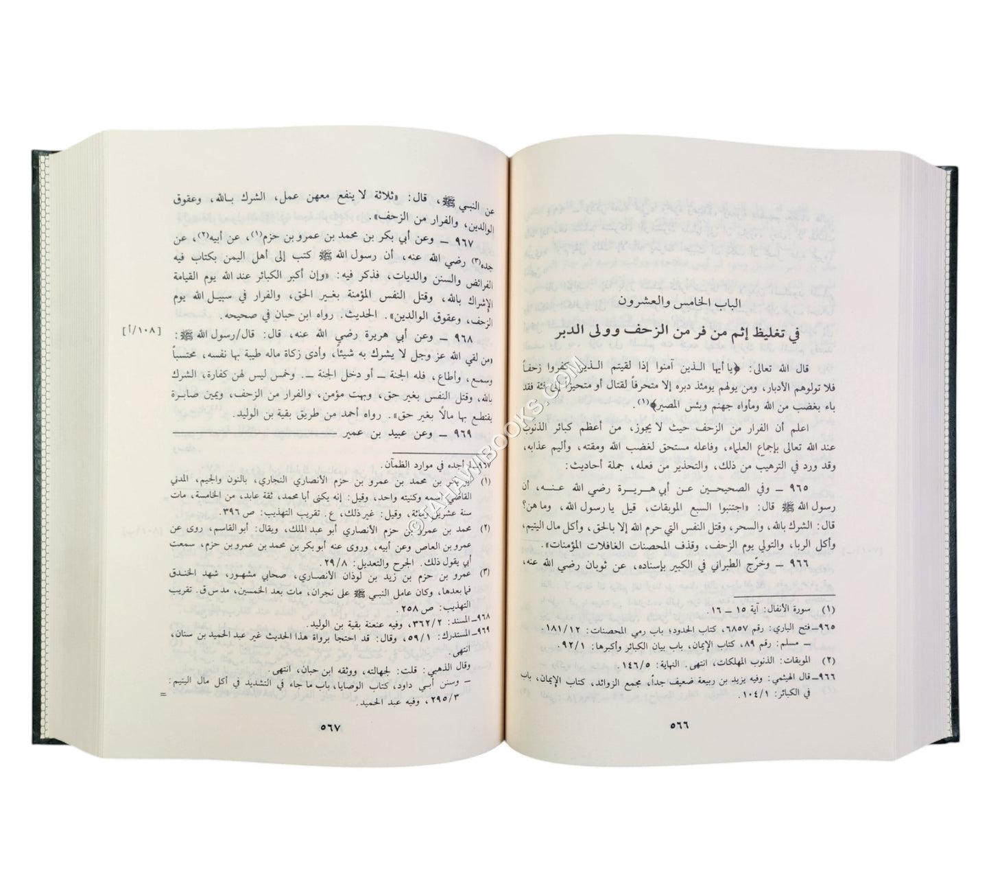 مشارع الأشواق إلى مصارع العشاق ومثير الغرام إلى دار السلام