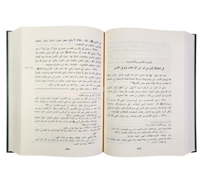 مشارع الأشواق إلى مصارع العشاق ومثير الغرام إلى دار السلام